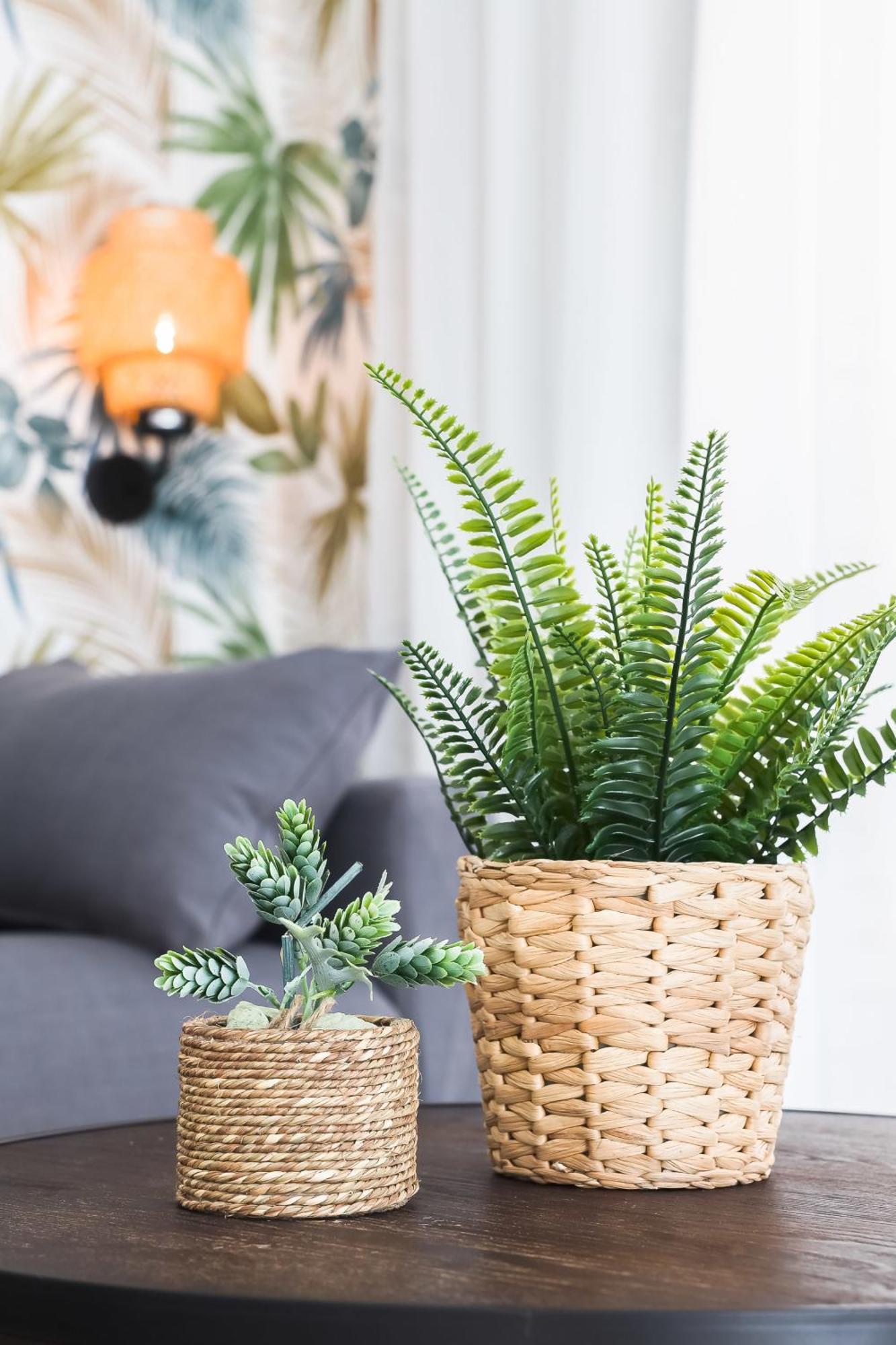 Apartamento Palermo Living Suites En Burriana Eksteriør billede